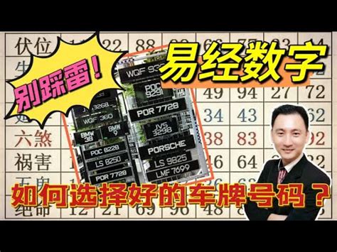 號碼吉凶 車牌|車牌號碼吉凶查詢，汽車車牌號碼測吉凶